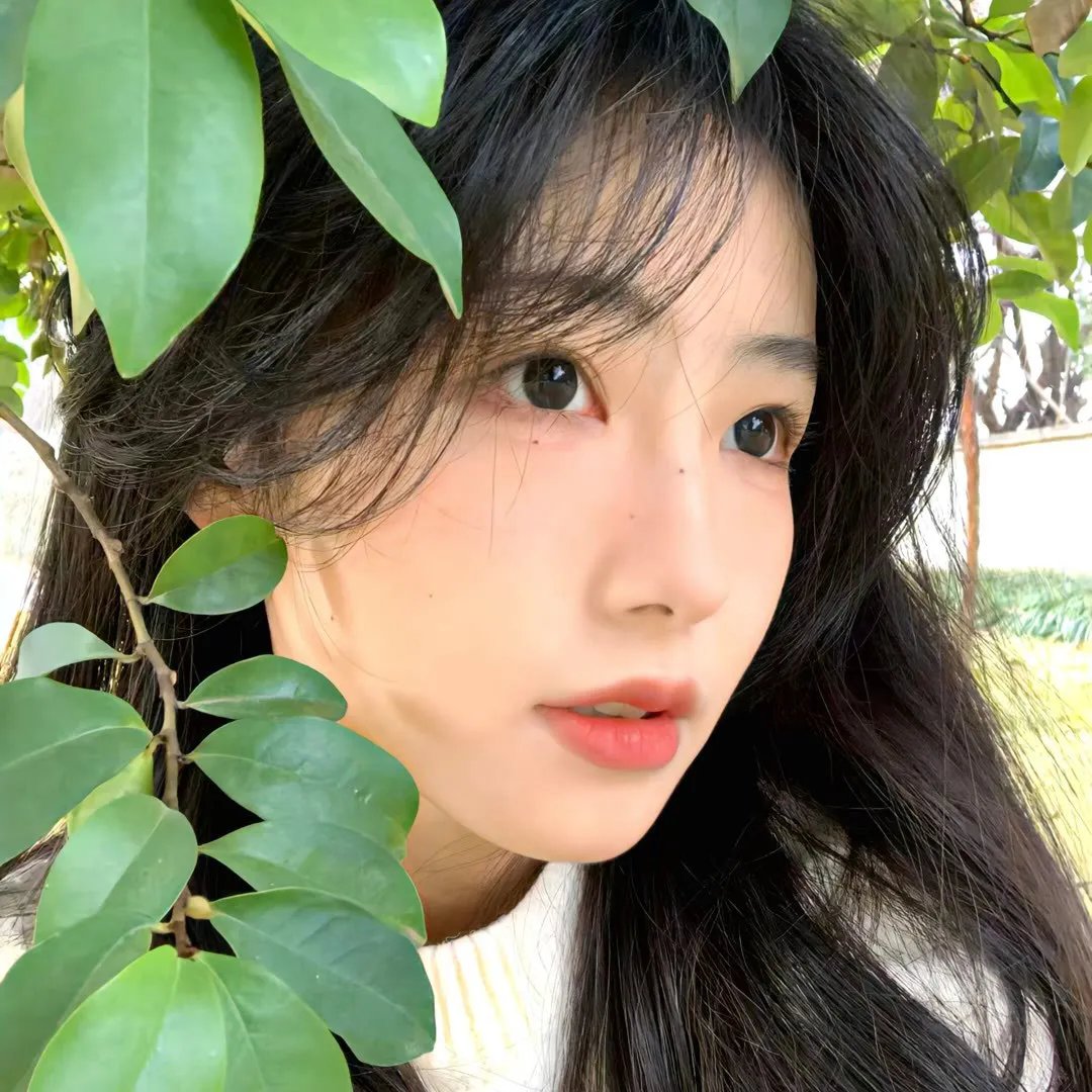 艺人