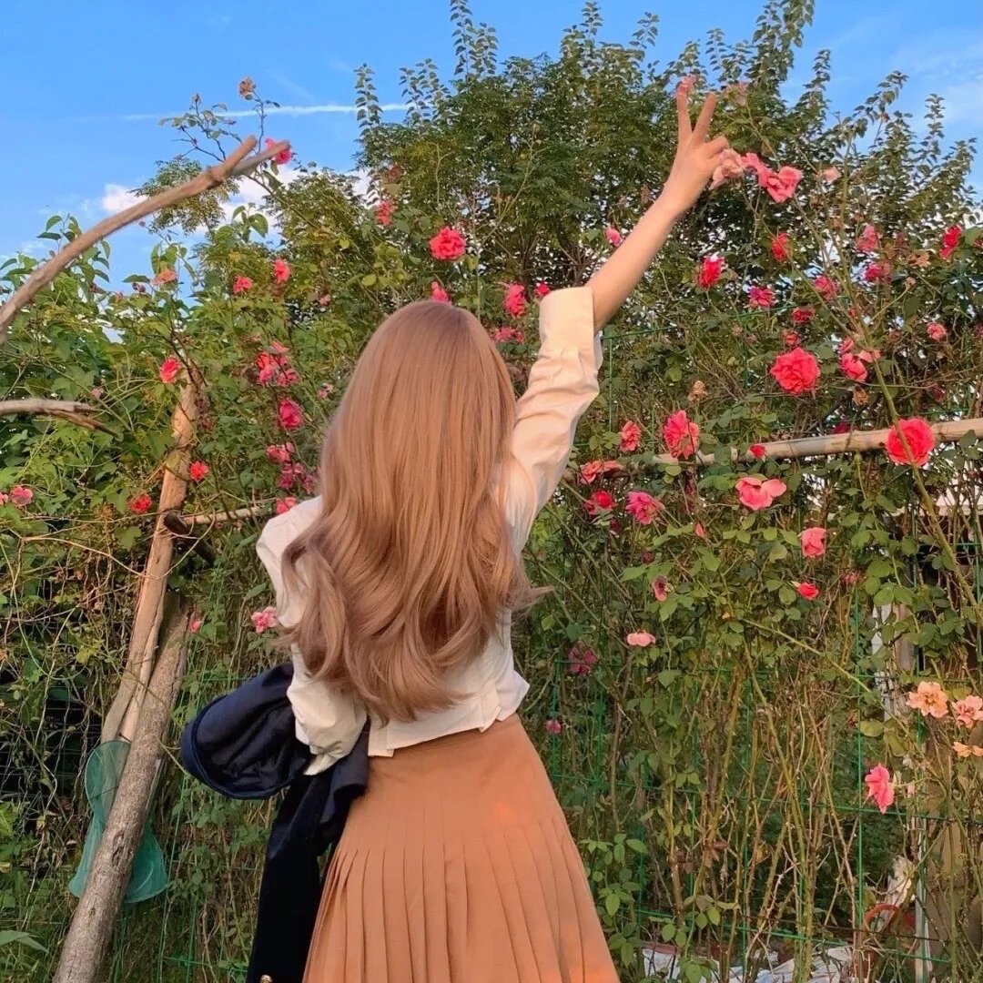 莲花仙子